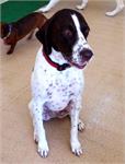 daycare pic 25 - ivy